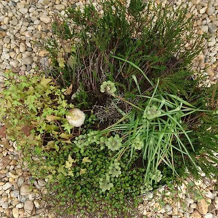 Heidebistro 3* Commerau