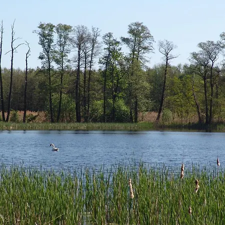 Gasthof Heidebistro Commerau