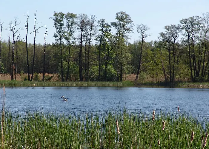 ゲストハウス Heidebistro Commerau